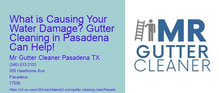 What is Causing Your Water Damage? Gutter Cleaning in Pasadena Can Help!